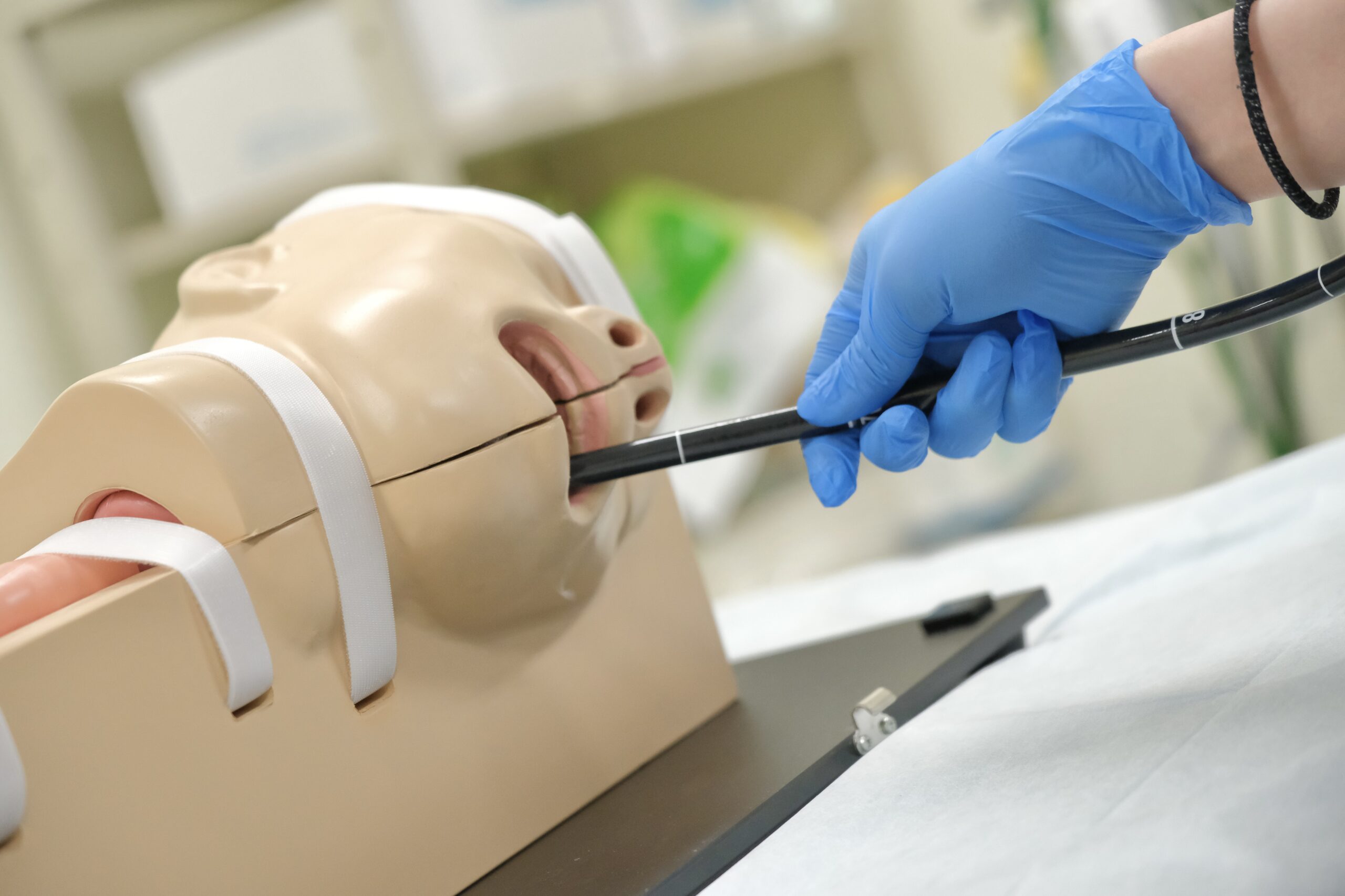 消化器内科プログラムメイン画像